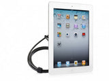 iPad Mini Lock